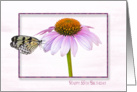 55th Birthday-butterfly on a cone flower with shadowed frame card