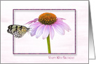 80th Birthday butterfly on a cone flower with shadowed frame card
