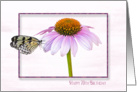 70th Birthday-butterfly on a cone flower with shadowed frame card
