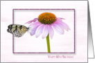 60th Birthday-butterfly on a cone flower with shadowed frame card
