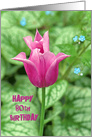 80th Birthday bright pink tulip with hosta garden background card
