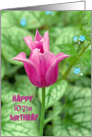 107th Birthday- bright pink tulip with hostas background card