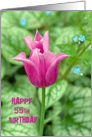 55th Birthday- bright pink tulip with hostas background card