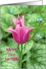 75th Birthday bright pink tulip with hostas background card