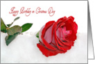 Mom’s Birthday on Christmas Day-red rose in snow card