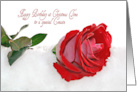 Cousin’s Birthday, Christmas red rose in snow card