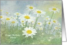 Name Specific Birthday-white daisies in field with soft texture card