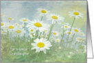Birthday for Granddaughter-white daisies in field with soft texture card