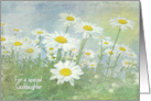 Birthday for Goddaughter, White Daisies In Field card