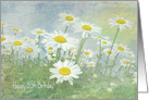85th Birthday, white daisies in field with soft texture card
