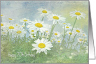 70th Birthday white daisies in field with soft texture overlay card
