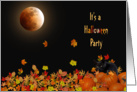 Halloween party invitation with cat in pumpkins and full moon card