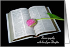 Loss of Daughter, Pink Tulip on Open Bible Isolate on Black card