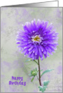 Birthday-purple dahlia with soft textured background card