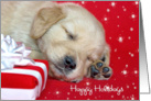 Happy Holidays for Parents-golden retriever pup with gift card