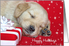 Happy Holidays for Cousin golden retriever pup with gift card