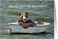 Smiling Bear in Rowboat For Humorous Brother’s Birthday card
