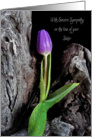 Sister sympathy-purple tulip with raindrops on driftwood card