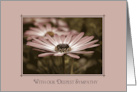 Sympathy From Couple, Pink Daisy Close Up card