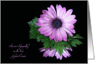 Loss of Cousin sympathy, purple daisy reflection on black card