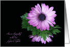 Loss of Nephew sympathy, purple daisy reflection on black card