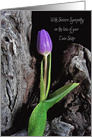 Loss of twin sister, purple tulip with raindrops on driftwood card