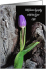 Loss of Child, Water Droplets On Purple Tulip card