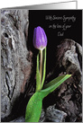 Loss of Dad, single purple tulip with raindrops on driftwood card
