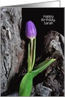 Birthday Name Specific-purple tulip with raindrops on driftwood card