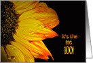 100th Birthday close up of a sunflower with water droplets card