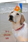 Son’s Birthday Labrador Retriever with a party hat on a beach card