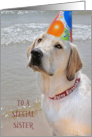 Sister’s Birthday Labrador Retriever With Party Hat On Beach card