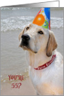 55th Birthday-Labrador Retriever with a party hat on a beach card