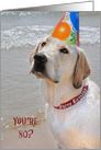 80th Birthday Labrador Retriever with a party hat on a beach card