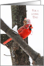 Dad’s Christmas, male cardinal with winter hat on a branch card