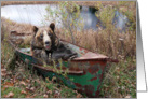 bear in rusty row boat card