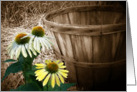 cone flowers and old bushel basket with vignetting card