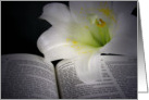 Illumuninated Easter lily on a Holy Bible. card