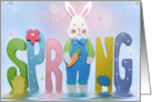 Easter, spring, bunny card