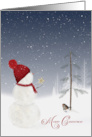 Merry Christmas Snowman with Gold Star Ornament card