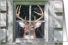 Big Buck in Cabin Window Man’s Birthday card