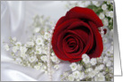 Wedding red rose with pearls on white satin. card