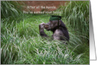 Chimpanzee with graduation hat card