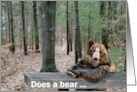 Bear Sitting at a Picnic Table In the Woods for Birthday card