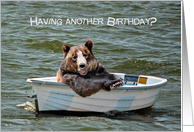 Humorous Birthday with smiling bear in dinghy on water card