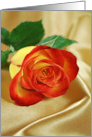 Orange Rose on Gold Satin for a Friend card