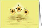 Thinking of You sunflowers with falling petals on water card