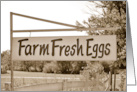 Fresh Eggs For Sale Farm Sign card