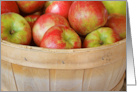 Autumn Apples In Produce Basket For Weight Loss card