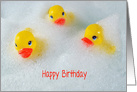 yellow rubber ducks in bubble bath for birthday card